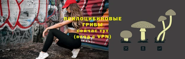 spice Дмитровск