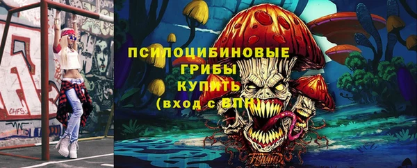 твердый Дмитров