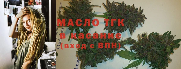 твердый Дмитров