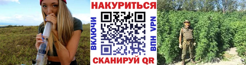 Канабис планчик  Купить закладки  Калачинск 